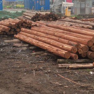 樁木批發(fā)