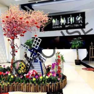 句容仙林印象