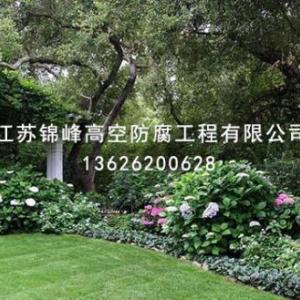 園林綠化養(yǎng)護(hù)