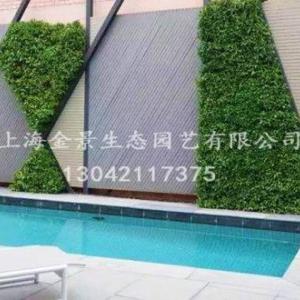 植物景墻
