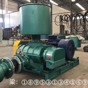 特殊氣體聯(lián)軸器連接羅茨鼓風(fēng)機(jī)廠家出廠價(jià)