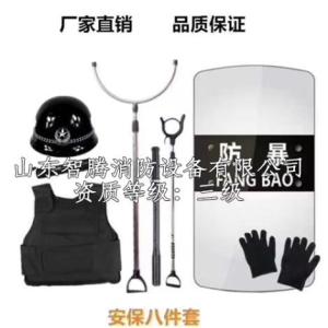 安保八件套