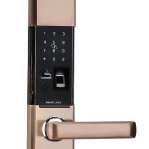 十敢當指紋鎖S9533自動滑蓋可選配大王鎖體防盜門密碼鎖