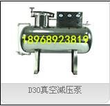 D30真空減壓泵