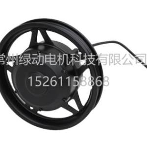 12寸輪椅車電機(jī)