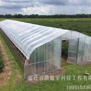 塑料大棚供應商
