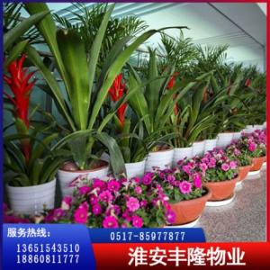 淮安花卉銷售