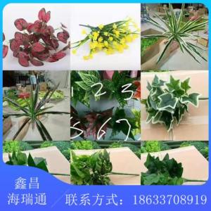 仿真植物墻配件供應(yīng)商