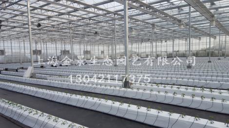 農(nóng)業(yè)景觀