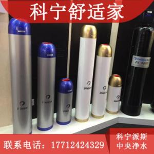 科寧派斯中央凈水