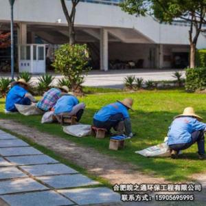 園林養護服務