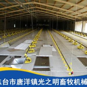 雞場(chǎng)養(yǎng)殖自動(dòng)料線