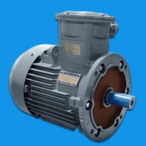 防爆電機(jī)