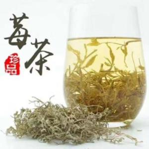 安吉白茶