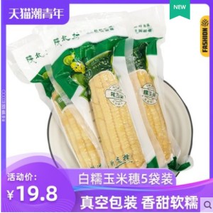 白糯粘玉米5支
