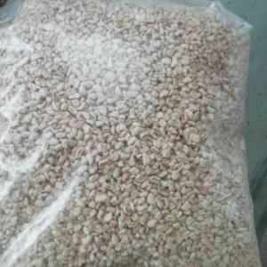 玉米芯廠家供應商