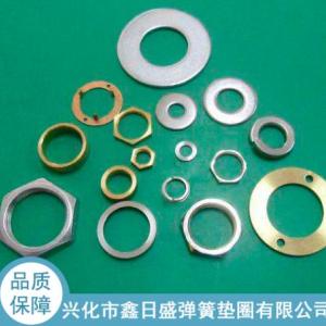 異形彈簧墊圈供貨商