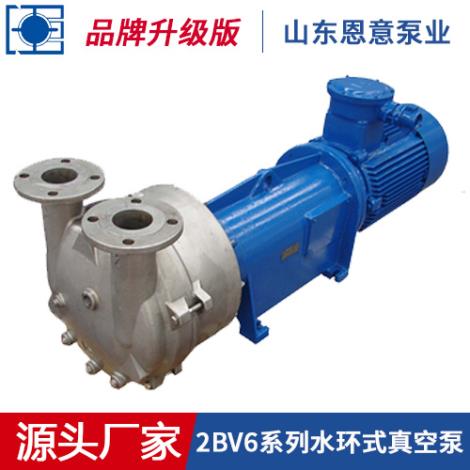 2BV6系列水环式真空泵