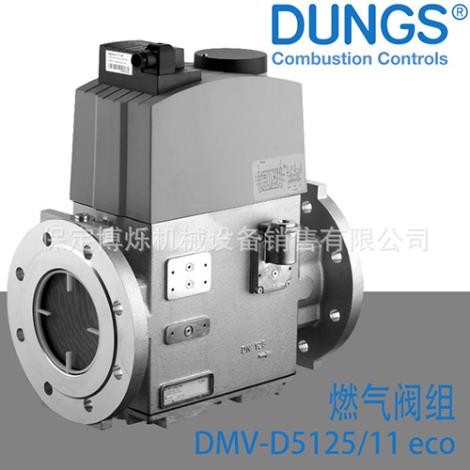 冬斯燃气电磁阀DMV-D5125/11/eco