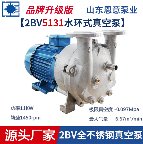 2BV5系列水环式真空泵