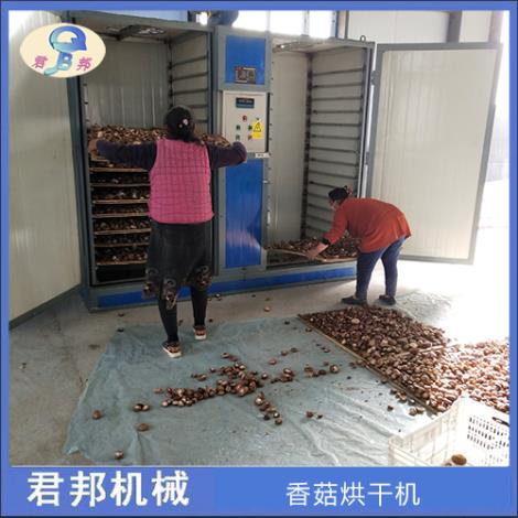 香菇烘干箱