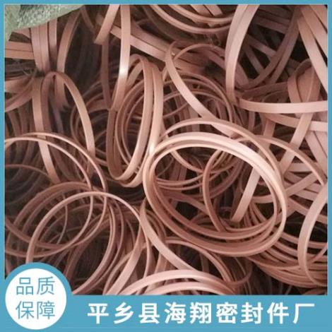 导向环