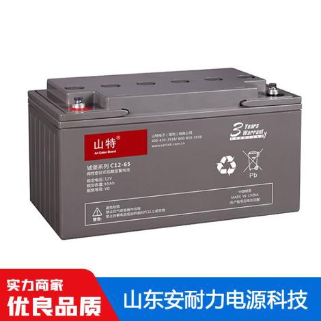 C12-65(12V65AH)山特蓄电池