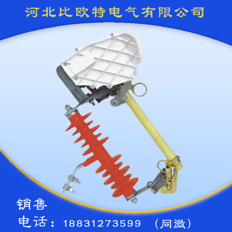 HRW10-10F户外跌落式熔断器(100A,200A)