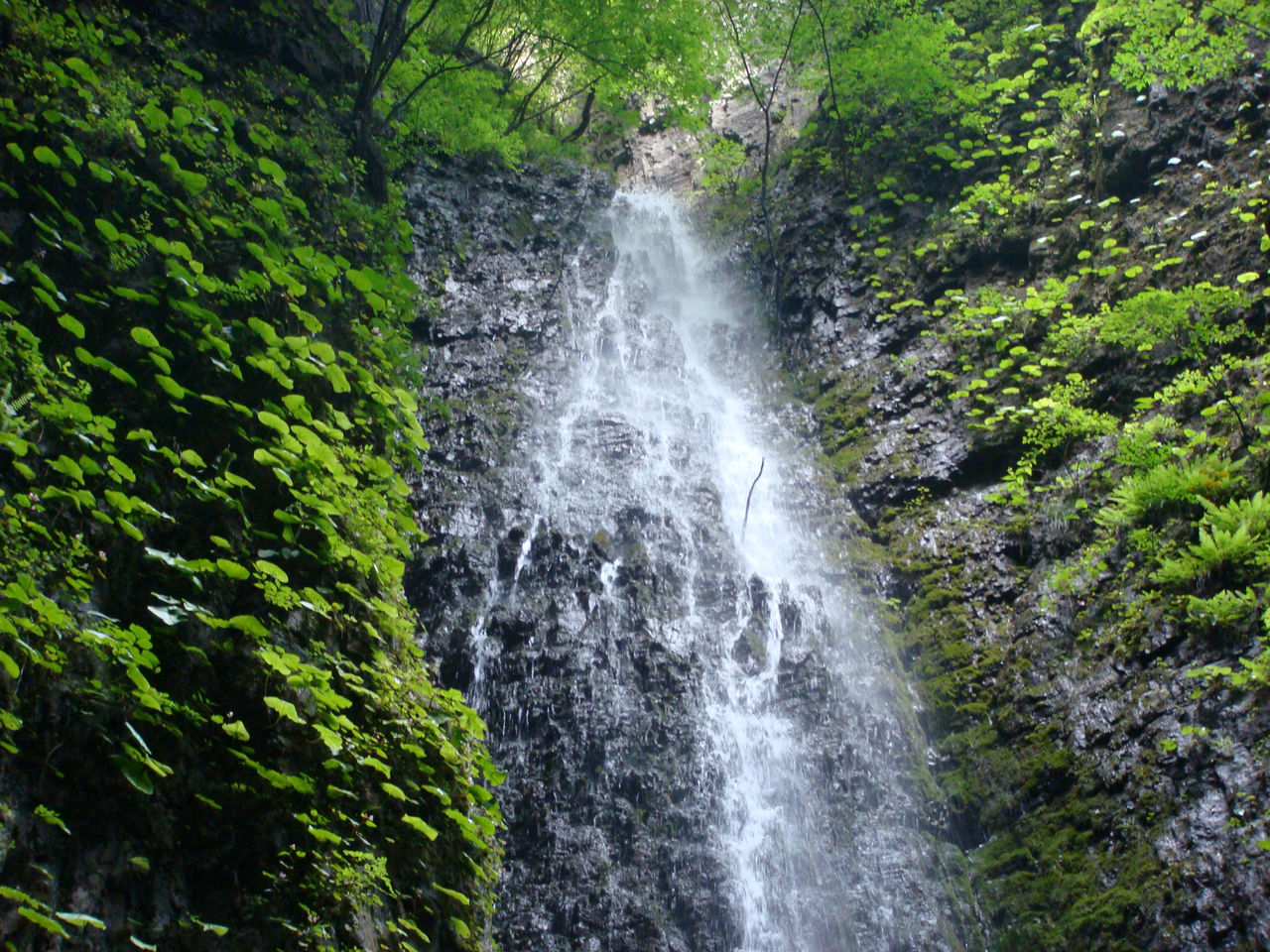 野三坡千佛山森林公园图片