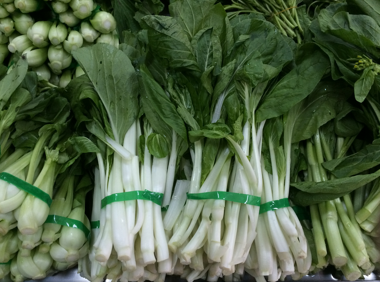 芥菜型油菜品种图片