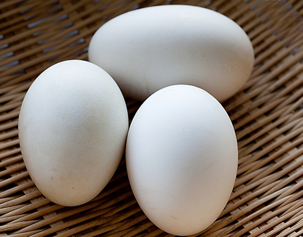 散养水鸭蛋 散养水鹅蛋