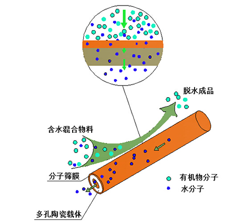 在无机渗透汽化膜脱水过程中,含水混合物经预热后进入膜组件进料侧,而