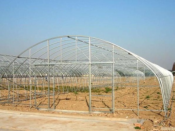 建设钢架大棚