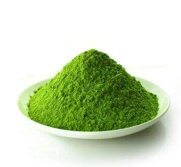 大麦苗粉 大麦苗提取物 斯诺特直销 .